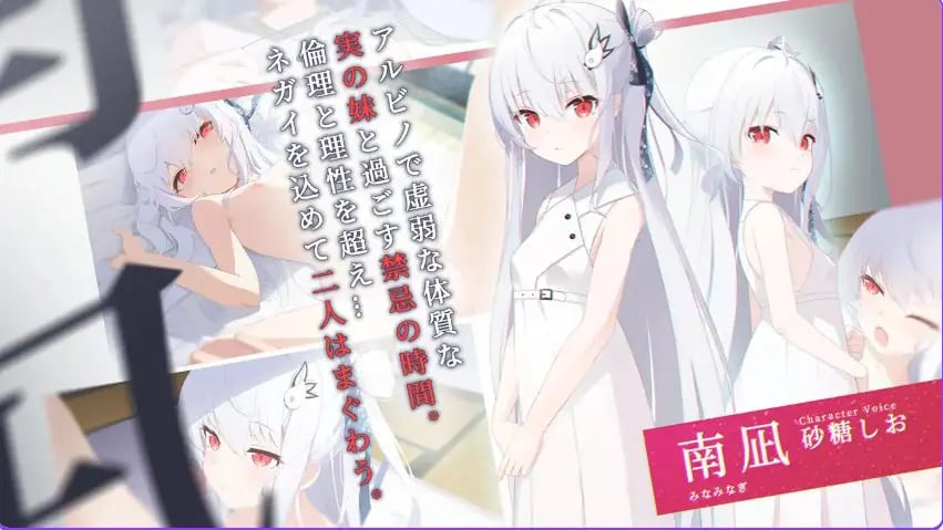 【PC/精翻/日式/ADV游戏/1.30G】 只愿 （カタネガイ）精翻I汉化版+全CG存档+日式ADV游戏+1.30G