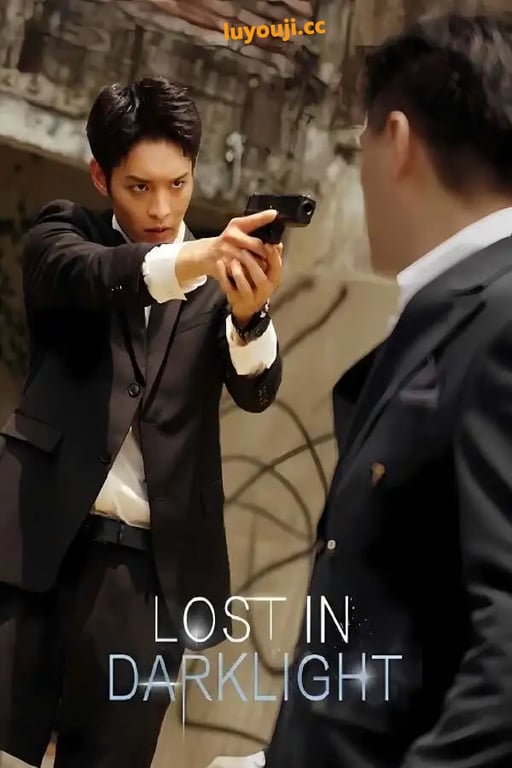 逆光迷途/Lost In Dark Light（V3560+集成Build.11076889升级档+中文语音）