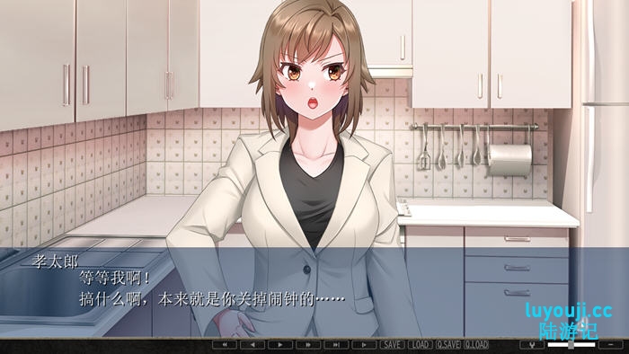 名流高档公寓 AI汉化版 ADV游戏+全CG存档 1.5G