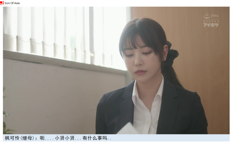 【PC/中文/完结/存档/攻略/27.3G】亚洲之子(Son Of Asia)SOA Ver65 中文完结版+QSP游戏+存档+攻略+MOD+27.3G