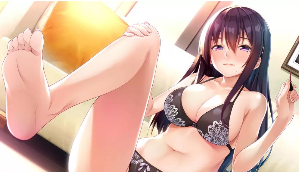 【安卓/PC/汉化版/CG/3.0G】请停手吧姐姐大人！要断了！完整汉化版 PC+安卓+全CG+补+3.0G