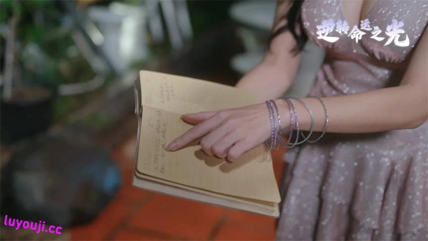 逆转命运之光/Destiny（V250522+集成全DLCs+Build.18516905升级档）