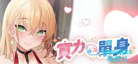 实力单身(Single By Choice) v1.03s 官方中文版 休闲益智游戏 800M-中文绅士游戏下载,黄游,色情手机游戏,绅士漫画啊,里番