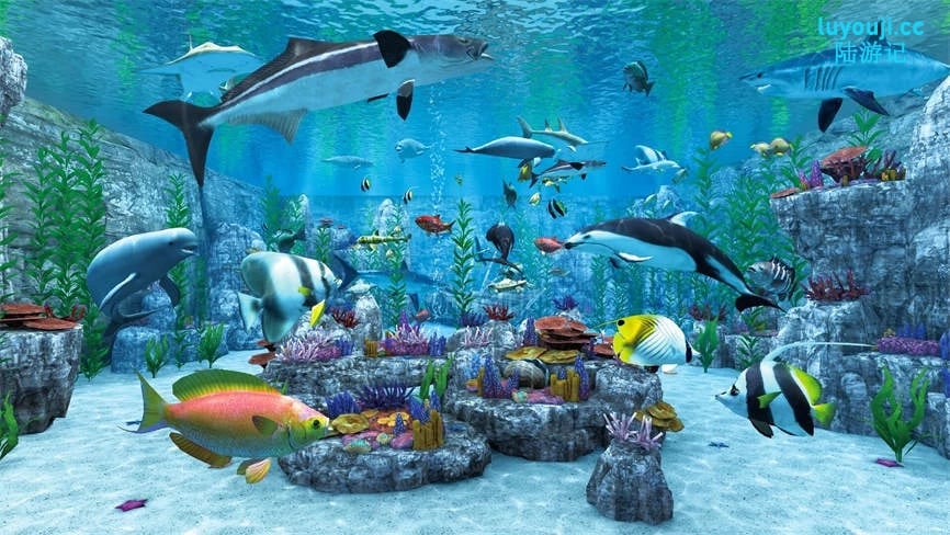 实况钓鱼/Real VR Fishing（V2.560+支持联机+仅支持VR设备）