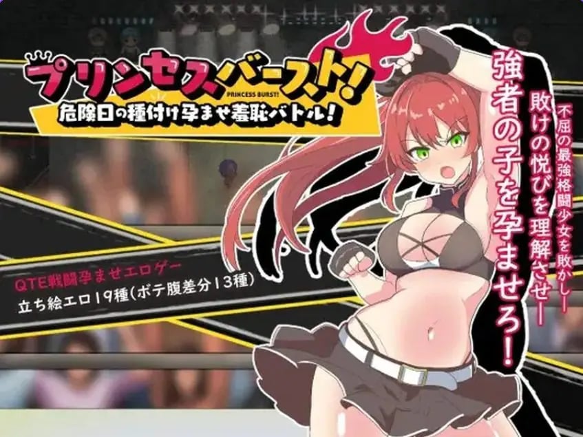 【PC/AI汉化/格斗/RPG游戏/600M】 公主爆破！危险日种植孕育羞耻之战！Ver1.02 内嵌AI汉化版+格斗RPG游戏+600M-中文绅士游啊戏下载,黄游,色情手机游戏,绅士漫画,里番