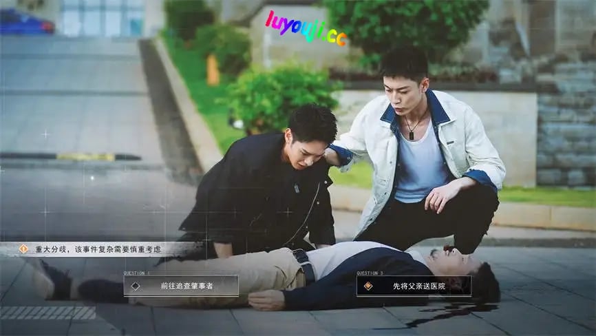 逆光迷途/Lost In Dark Light（V3560+集成Build.11076889升级档+中文语音）