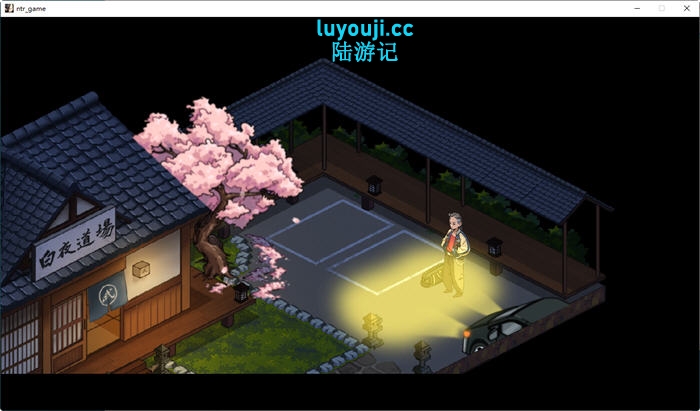 护身术道场 v1.9.12 STEAM官方中文版+DLC 像素互动SLG+攻略+存档 1.5G