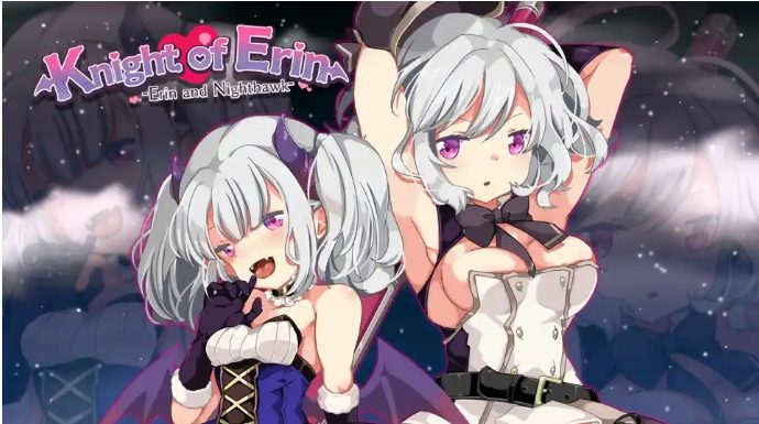 【PC/汉化版/RPG】女骑士艾琳(Nighthawkand Erin)Ver1.06 精翻汉化版+RPG游戏+500M+补-中文绅士游戏下载,黄游,色情手机游戏,绅士漫啊画,里番